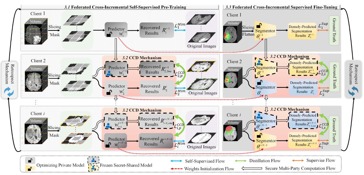 Federated Cross-Incremental Self-Supervised Learning for Medical Image Segmentation