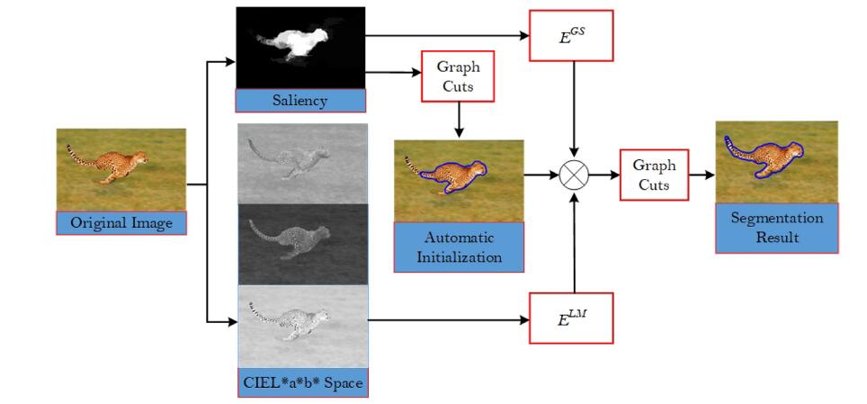 Saliency-Guided Level Set Model for Automatic Object Segmentation