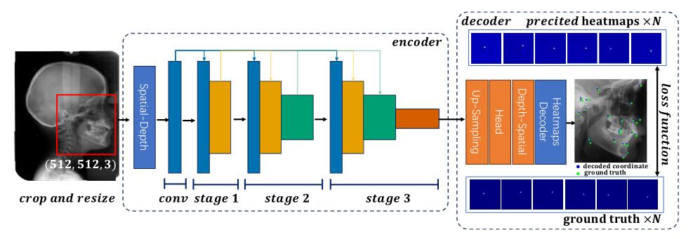 A New Benchmark and Low Computational Cost Localization Method for Cephalometric Analysis