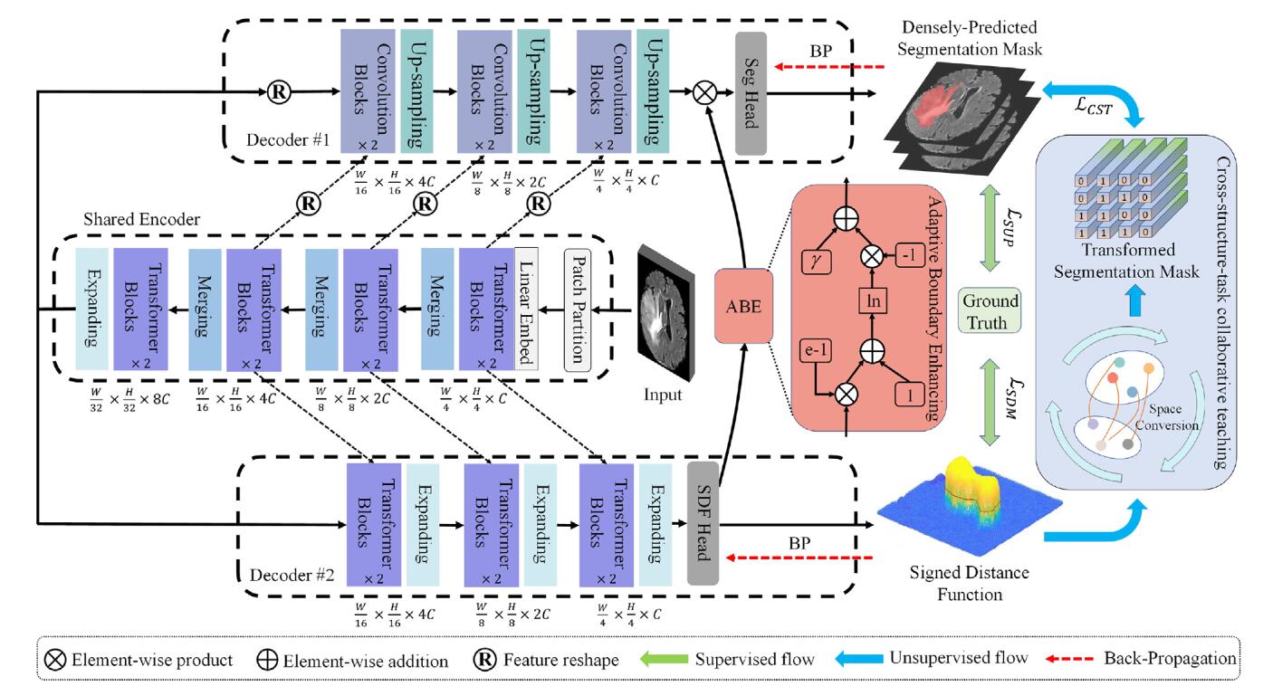 Cross co-teaching for semi-supervised medical image segmentation