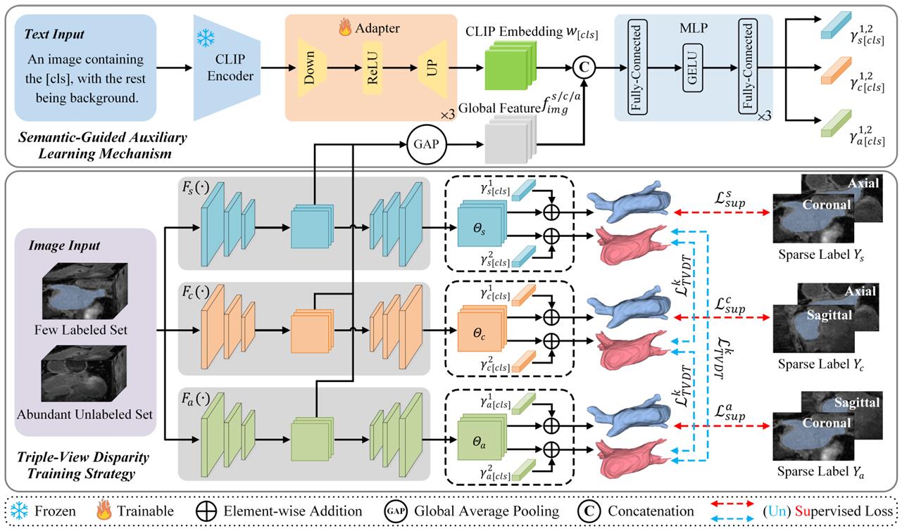 SGTC: Semantic-Guided Triplet Co-training for Sparsely Annotated Semi-Supervised Medical Image Segmentation