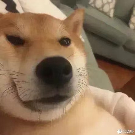 王子健